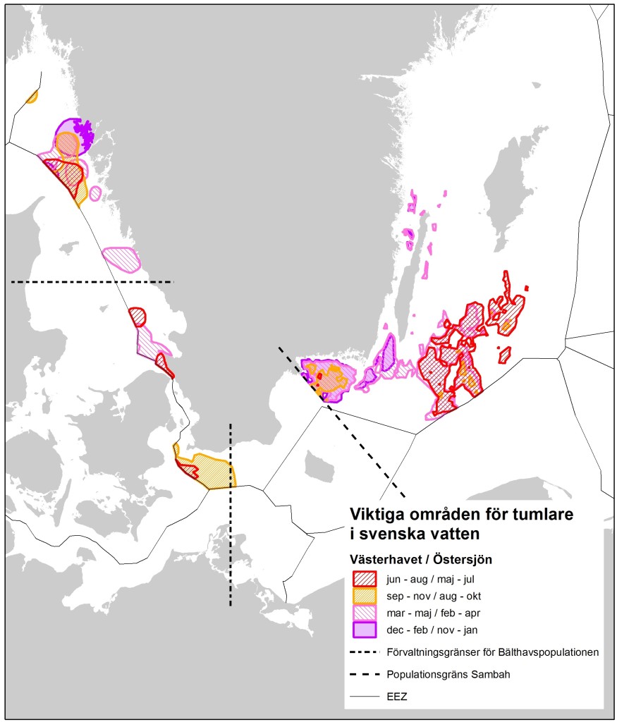 Skyddsvarda_omraden_tumlare_svenska_vatten