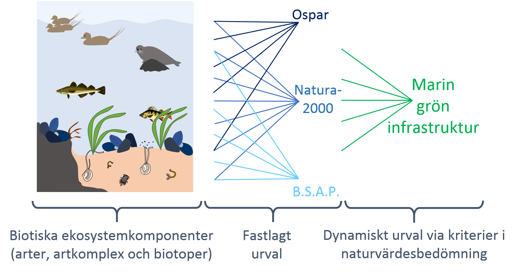 Urval via nvb